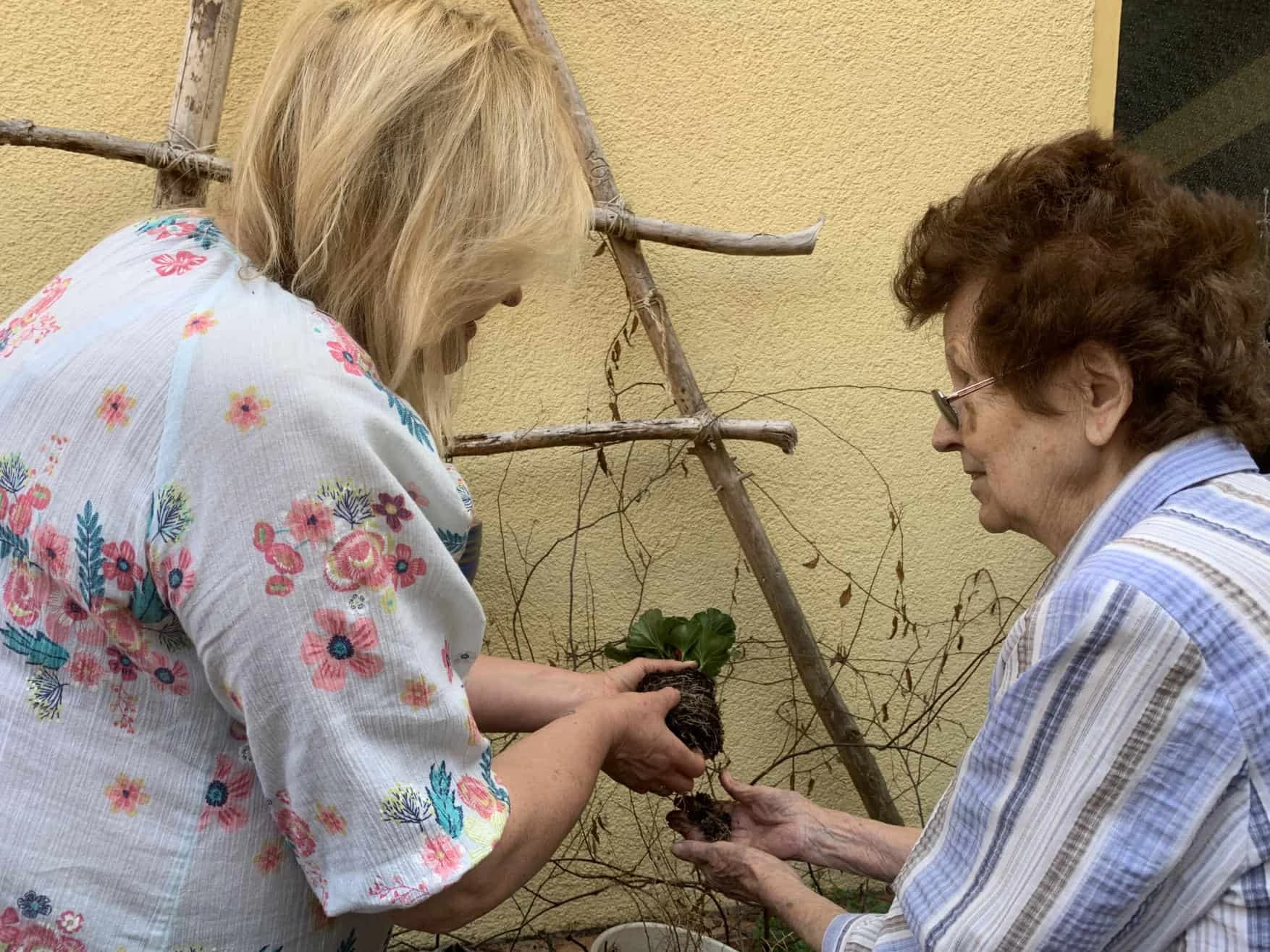 Seniorenhilfe in Kaiserslautern: Gemeinsames Einpflanzen von Blumen mit Alltagsbegleiterin